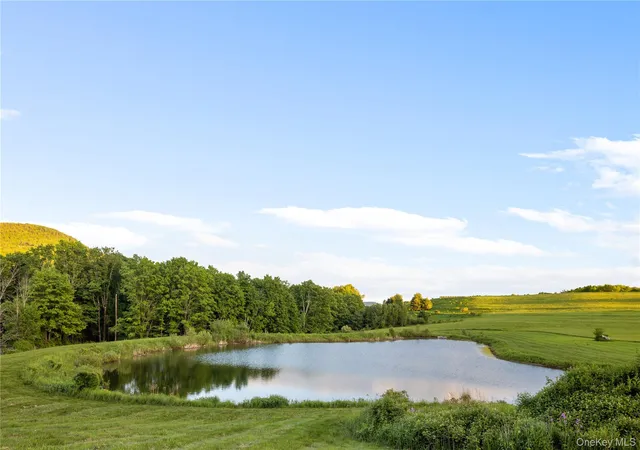 Homes for sale in Hillsdale, NY | 335 Dawson Rd, Hillsdale, NY 12529 | MLS# 1009156