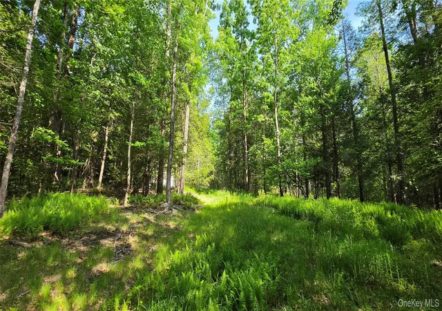 Homes for sale in Fallsburg, NY | 00 Church Aka Pan Am Rd, Fallsburg, NY 12763 | MLS# 1009295