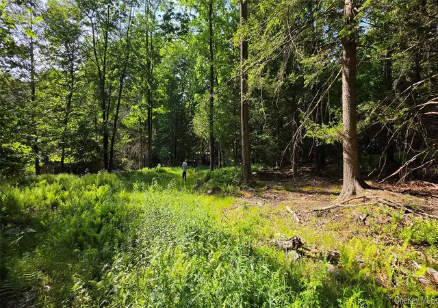 Homes for sale in Fallsburg, NY | 00 Church Aka Pan Am Rd, Fallsburg, NY 12763 | MLS# 1009295
