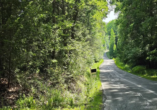 Homes for sale in Fallsburg, NY | 00 Church Aka Pan Am Rd, Fallsburg, NY 12763 | MLS# 1009295