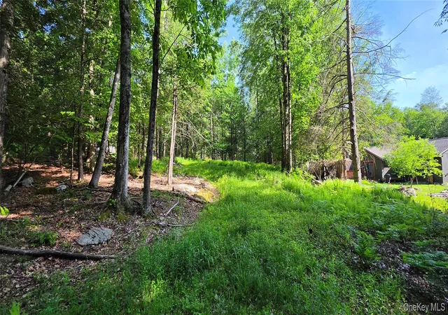 Homes for sale in Fallsburg, NY | 00 Church Aka Pan Am Rd, Fallsburg, NY 12763 | MLS# 1009295