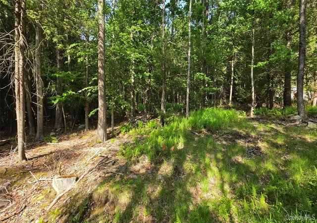 Homes for sale in Fallsburg, NY | 00 Church Aka Pan Am Rd, Fallsburg, NY 12763 | MLS# 1009295