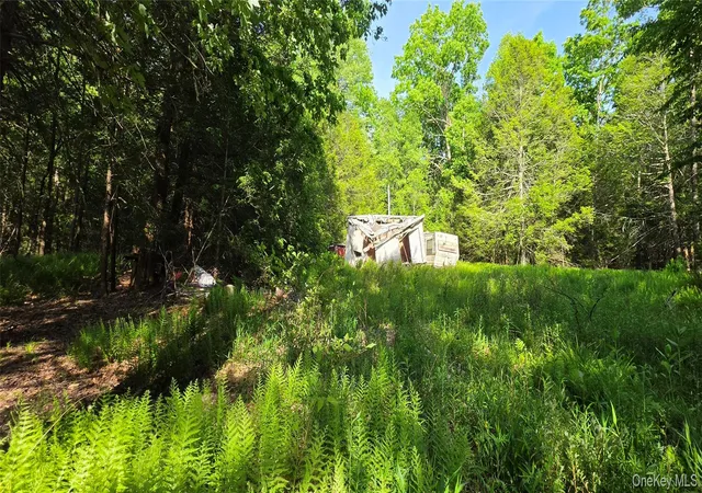 Homes for sale in Fallsburg, NY | 00 Church Aka Pan Am Rd, Fallsburg, NY 12763 | MLS# 1009295