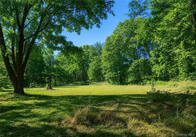 Homes for sale in La Grange, NY | Route 55, La Grange, NY 12603 | MLS# 1009462