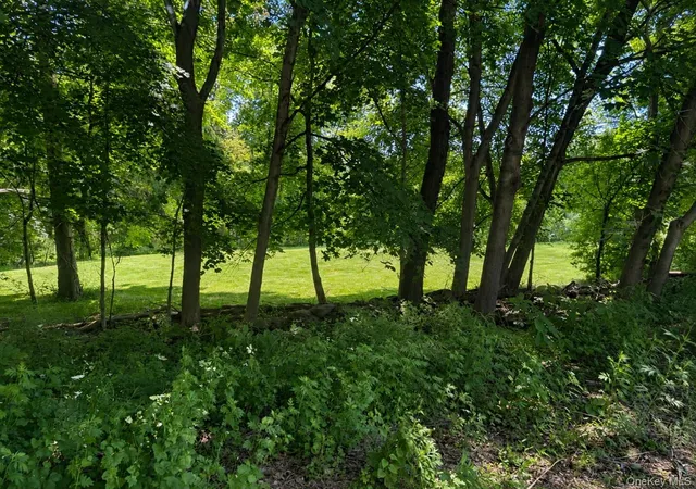 Homes for sale in La Grange, NY | Route 55, La Grange, NY 12603 | MLS# 1009462