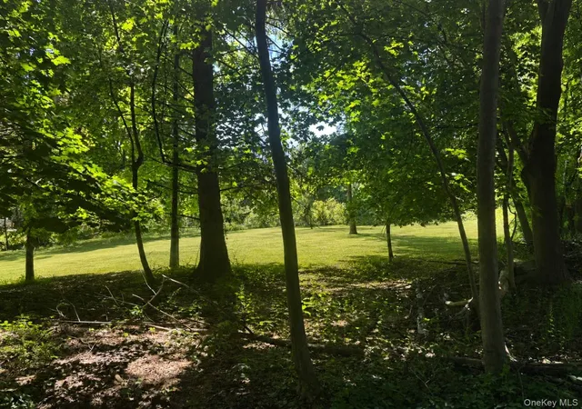 Homes for sale in La Grange, NY | Route 55, La Grange, NY 12603 | MLS# 1009462