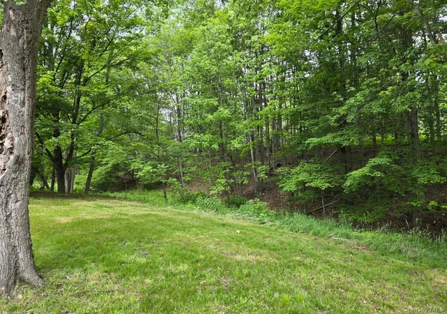 Homes for sale in Fallsburg, NY | Overlook Ave, Fallsburg, NY 12763 | MLS# 1009509