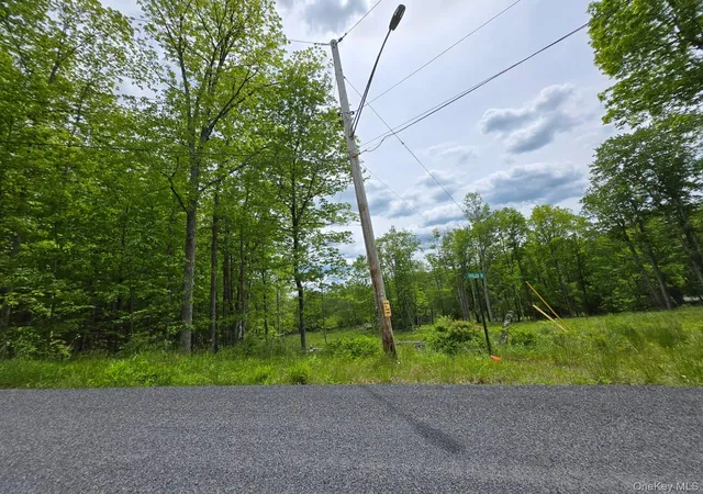 Homes for sale in Fallsburg, NY | Overlook Ave, Fallsburg, NY 12763 | MLS# 1009509