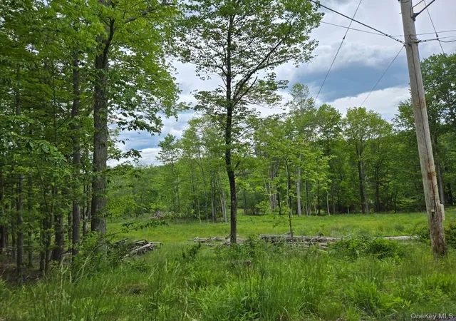 Homes for sale in Fallsburg, NY | Overlook Ave, Fallsburg, NY 12763 | MLS# 1009509