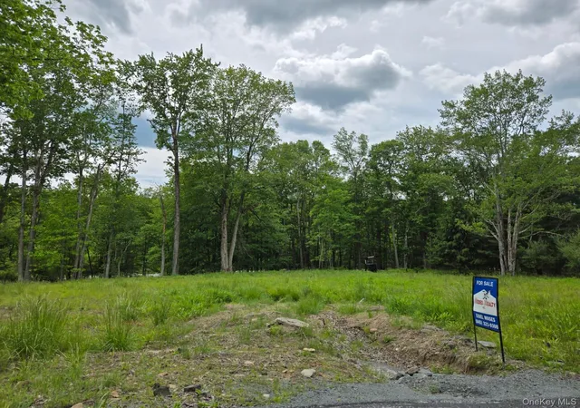Homes for sale in Fallsburg, NY | Overlook Ave, Fallsburg, NY 12763 | MLS# 1009509