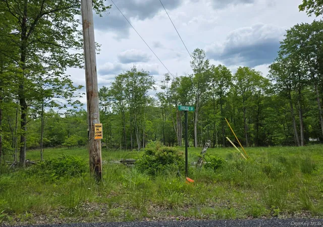 Homes for sale in Fallsburg, NY | Overlook Ave, Fallsburg, NY 12763 | MLS# 1009509