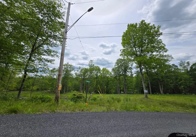 Homes for sale in Fallsburg, NY | Overlook Ave, Fallsburg, NY 12763 | MLS# 1009509