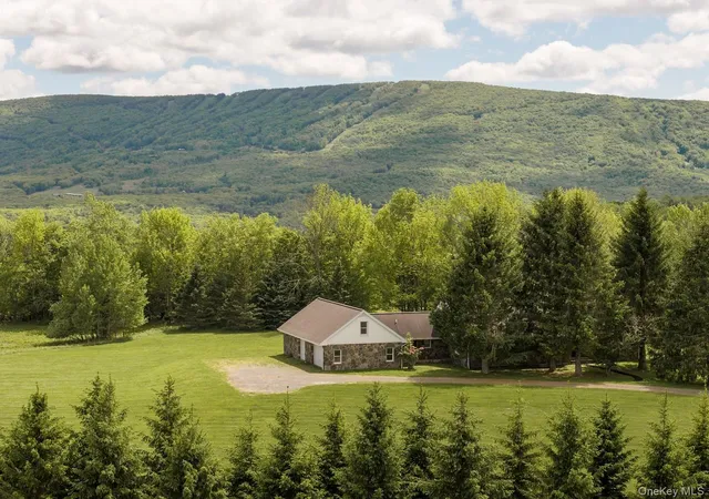 Homes for sale in Middletown, NY | 2114 Brush Ridge Rd, Middletown, NY 12430 | MLS# 1009520