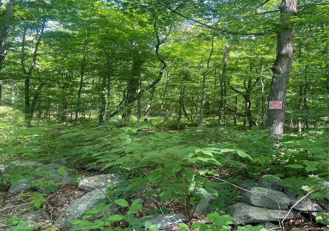 Homes for sale in East Fishkill, NY | 123 Meads Farm Rd, East Fishkill, NY 12582 | MLS# 1009757