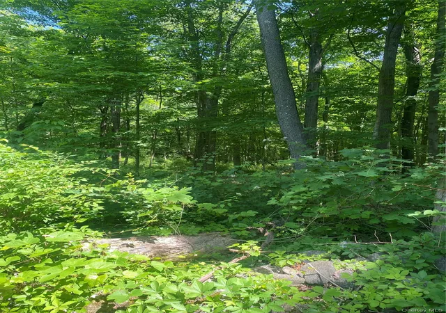 Homes for sale in East Fishkill, NY | 123 Meads Farm Rd, East Fishkill, NY 12582 | MLS# 1009757