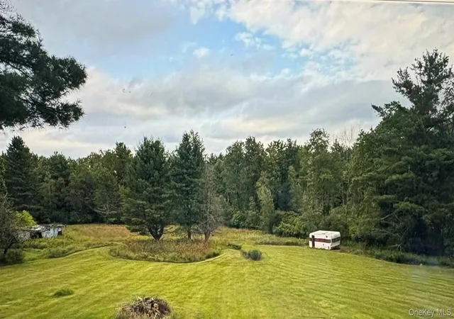 Homes for sale in Cochecton, NY | 3038 State Route 17B, Cochecton, NY 12726 | MLS# 1009853