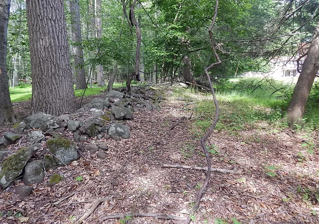 Homes for sale in Clarkstown, NY | 15 River Rise Rd, Clarkstown, NY 10956 | MLS# 1010210
