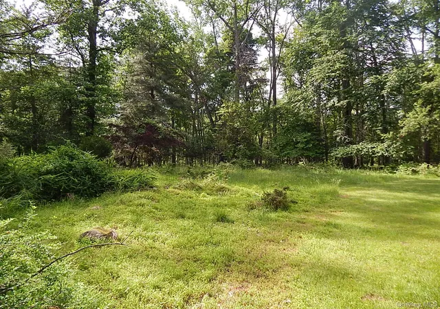 Homes for sale in Clarkstown, NY | 15 River Rise Rd, Clarkstown, NY 10956 | MLS# 1010210