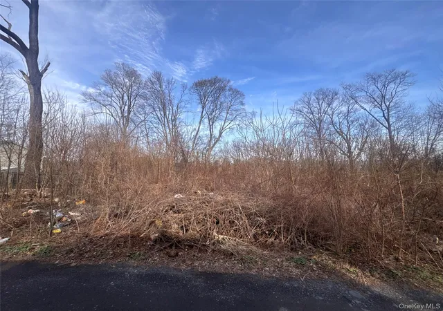 1st image of 121 Robinson Ave, Newburgh, NY 12550 | MLS# 1010369