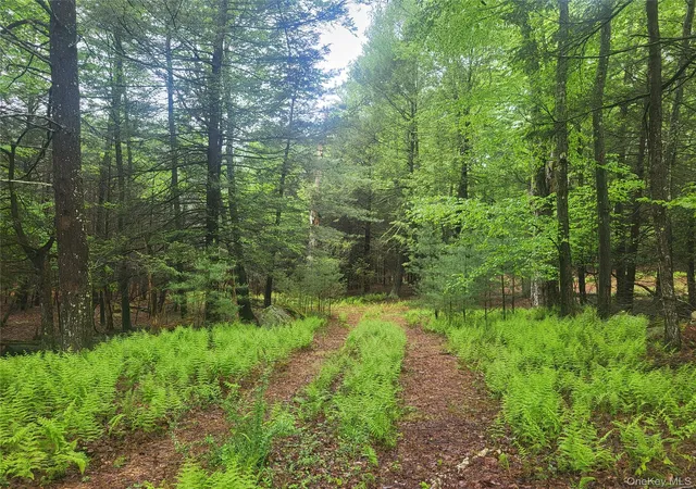 Homes for sale in Fallsburg, NY | *** Marsh Rd, Fallsburg, NY 12733 | MLS# 1010465