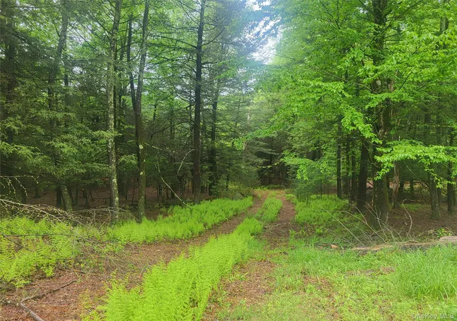 Homes for sale in Fallsburg, NY | *** Marsh Rd, Fallsburg, NY 12733 | MLS# 1010465