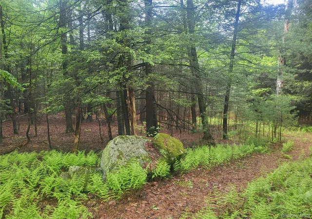 Homes for sale in Fallsburg, NY | *** Marsh Rd, Fallsburg, NY 12733 | MLS# 1010465