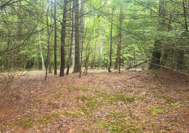 Homes for sale in Fallsburg, NY | *** Marsh Rd, Fallsburg, NY 12733 | MLS# 1010465