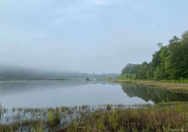 Photo 5 of Land for sale at 64 Gale Rd, Mongaup Valley, NY 12762 | MLS# 1010473 | Listing updated on 2026-07-14