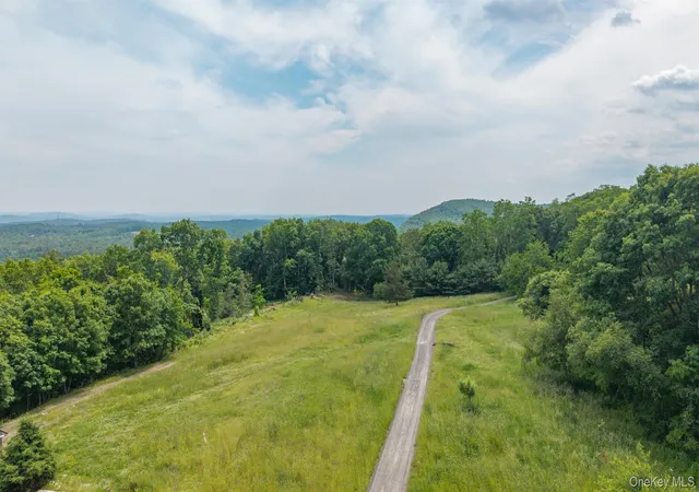 Homes for sale in Athens, NY | Tbd Skinner Ln, Athens, NY 12015 | MLS# 1010654