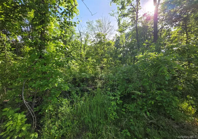 2nd image of 140 Mount Airy Rd, New Windsor, NY 12553 | MLS# 1010746