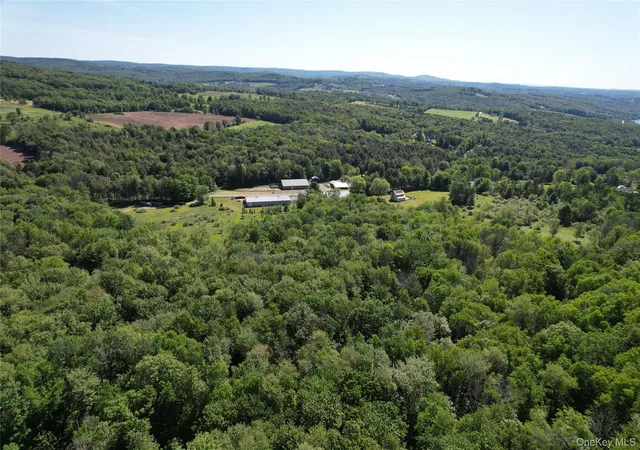 Homes for sale in Callicoon, NY | Tbd Jeffersonville North Branch Rd, Callicoon, NY 12748 | MLS# 1010751