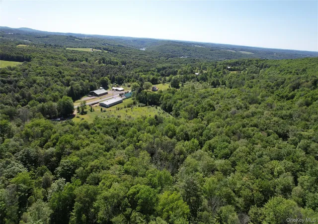 Homes for sale in Callicoon, NY | Tbd Jeffersonville North Branch Rd, Callicoon, NY 12748 | MLS# 1010751