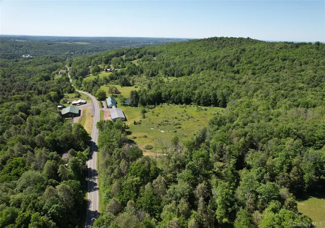 Homes for sale in Callicoon, NY | Tbd Jeffersonville North Branch Rd, Callicoon, NY 12748 | MLS# 1010751