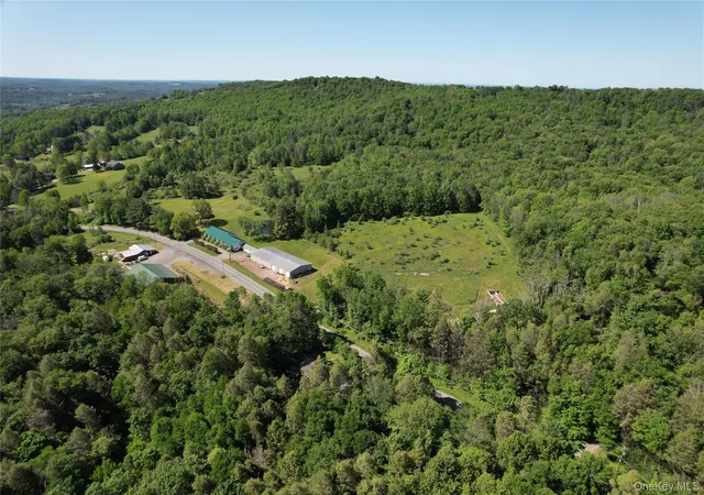 Homes for sale in Callicoon, NY | Tbd Jeffersonville North Branch Rd, Callicoon, NY 12748 | MLS# 1010751