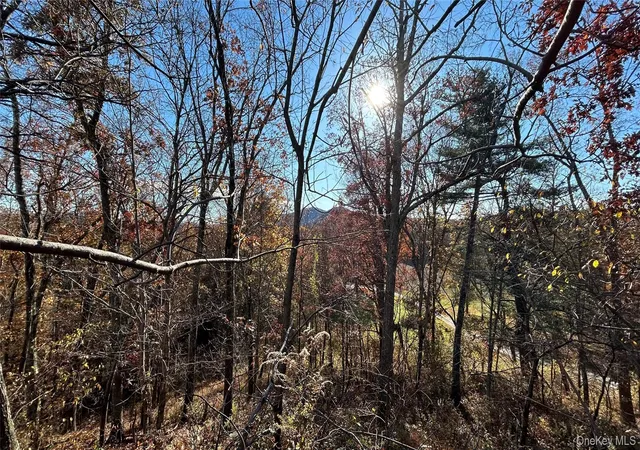 1st image of 66 Ryan Rd, Pine Plains, NY 12567 | MLS# 1010757