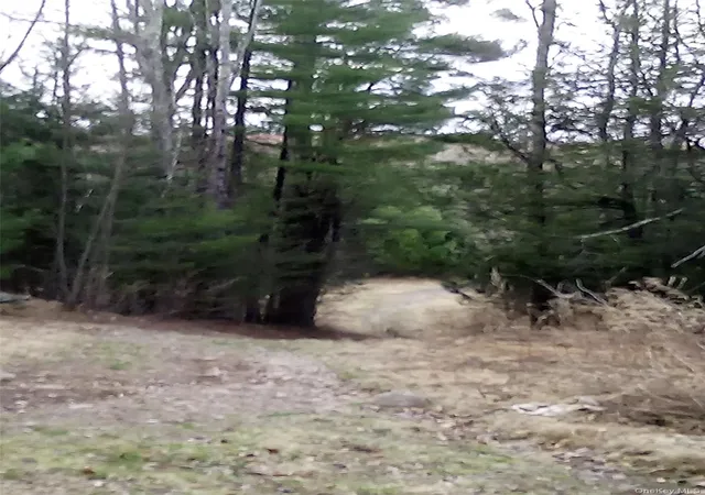 Photo 4 of Land for sale at Gibber Rd, Kiamesha Lake, NY 12751 | MLS# 1010858 | Listing updated on 2026-06-12