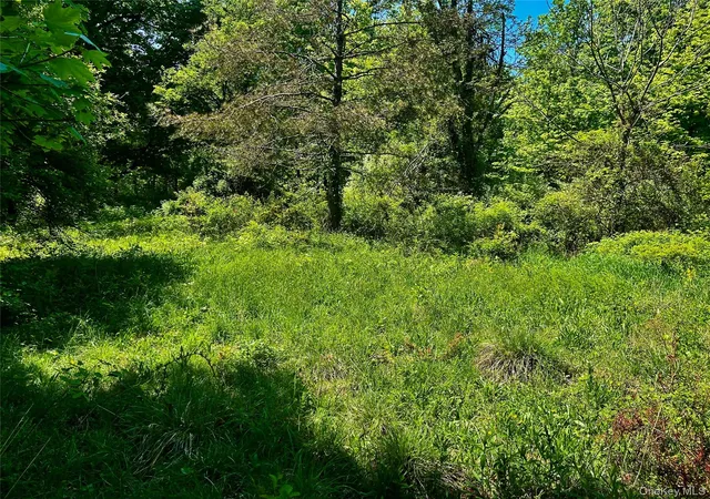 2nd image of 00 North Creek Rd, Staatsburg, NY 12580 | MLS# 1010921