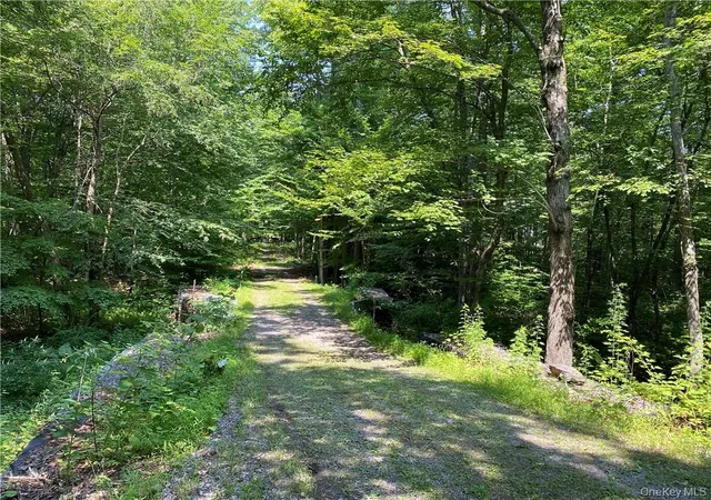 Homes for sale in Philipstown, NY | 554 & 545 East Mountain Rd North, Philipstown, NY 10516 | MLS# 1011002