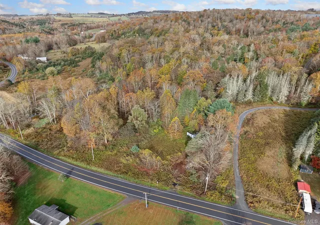Photo 3 of Land for sale at 22 State Route 52a, Delaware, NY 12750 | MLS# 1011100 | Listing updated on 2026-08-14