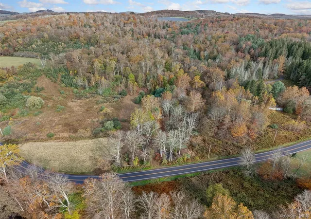 Photo 4 of Land for sale at 22 State Route 52a, Delaware, NY 12750 | MLS# 1011100 | Listing updated on 2026-08-14