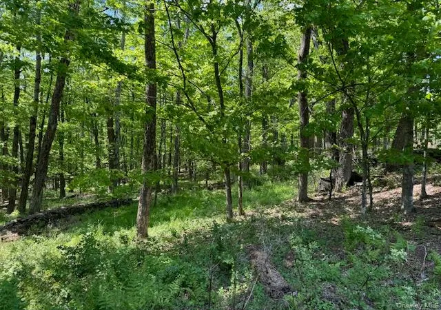 Homes for sale in Delaware, NY | 00 Polster, Delaware, NY 12726 | MLS# 1011401
