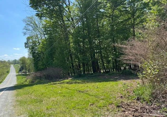 Homes for sale in Delaware, NY | 00 Polster, Delaware, NY 12726 | MLS# 1011401