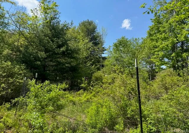 Homes for sale in Delaware, NY | 00 Polster, Delaware, NY 12726 | MLS# 1011401