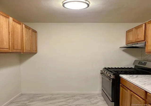 Listing Photo 3 - Condo for sale in building located at 310 Lenox Rd, New York, NY 11226 - Unit #4U