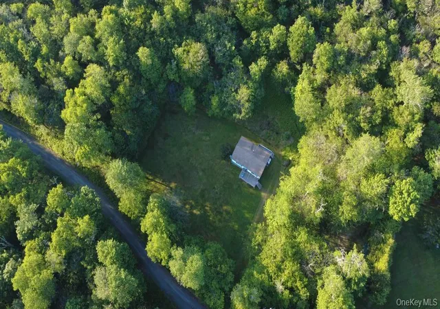 1st image of 52 Log Rd, Parksville, NY 12768 | MLS# 1011911