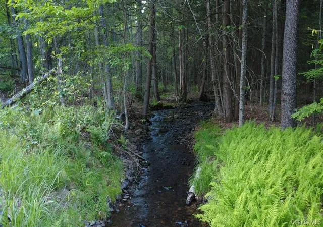 Photo 2 of Sale Pending at 52 Log Rd, Parksville, NY 12768 | MLS# 1011911 | Listing updated on 2026-10-08