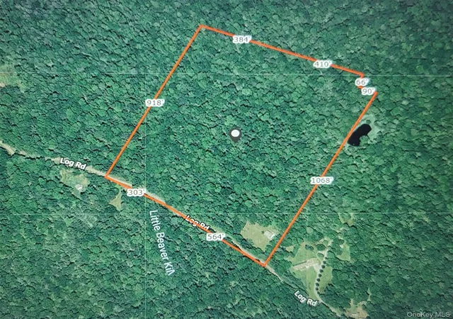 31st image of 52 Log Rd, Parksville, NY 12768 | MLS# 1011911