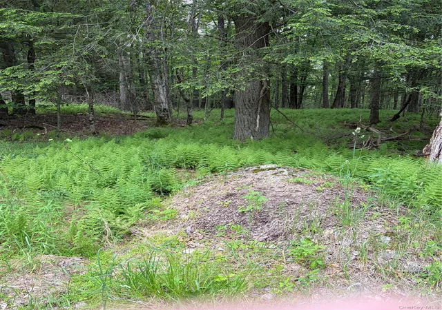 Homes for sale in Bethel, NY | Creamery Creamery Rd, Bethel, NY 12701 | MLS# 1012034