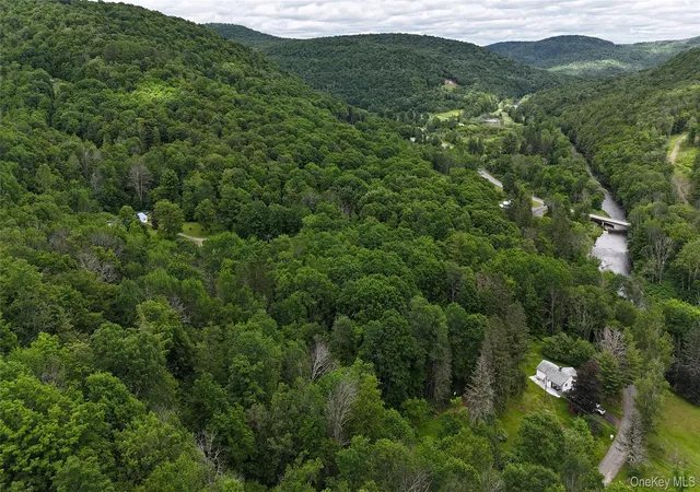 Homes for sale in Colchester, NY | 549 Gavette Rd, Colchester, NY 12776 | MLS# 1012684