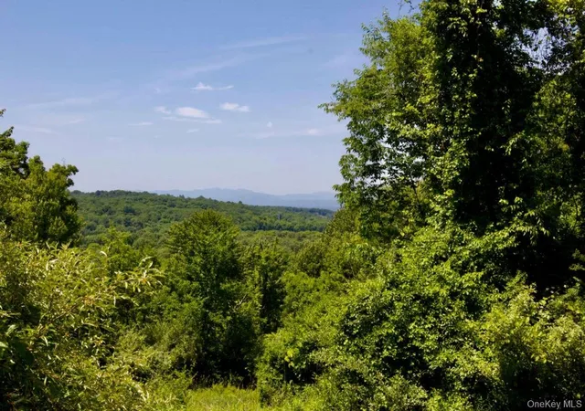 2nd image of 0 Rowe Rd, Red Hook, NY 12571 | MLS# 1012819